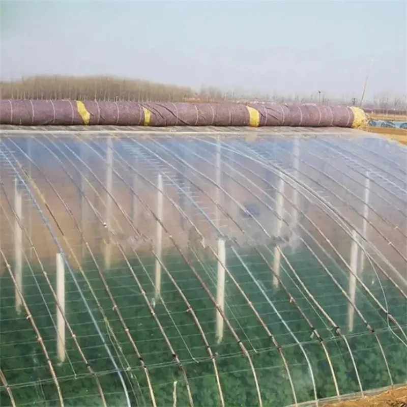 200 Micron UV Resistant LDPE Greenhouse Film