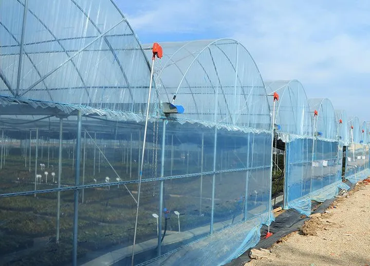 PE/PO Blend High Transparency Greenhouse Film