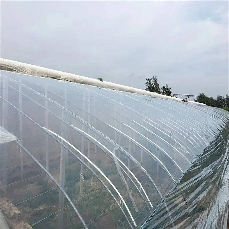 200 Micron UV Resistant LDPE Greenhouse Film