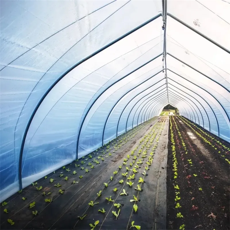200 Micron Solar UV Block Agricultural Greenhouse Film