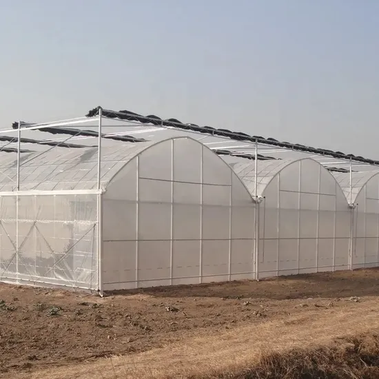 Double Layer Agricultural Transparent Plastic Greenhouse Film
