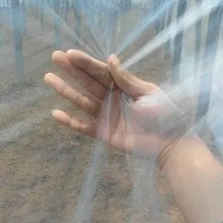 Anti-Drip Anti-Mist High Transmissivity Greenhouse Film