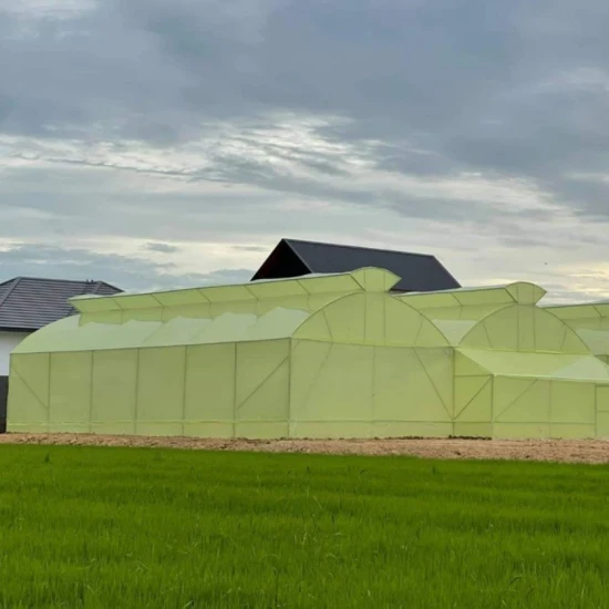 200 Micron Solar UV Block Agricultural Greenhouse Film