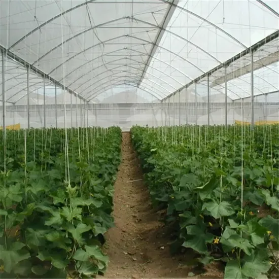 Double Layer Agricultural Transparent Plastic Greenhouse Film
